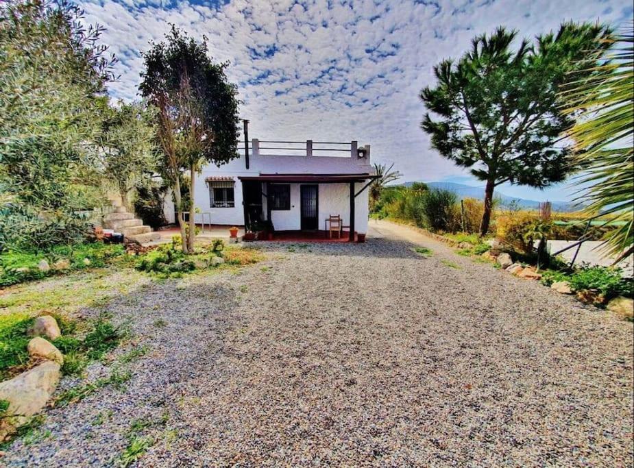 شقة Loft Rural غرناطة المظهر الخارجي الصورة